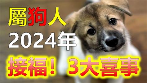 屬狗幸運數字|2024屬狗幾歲、2024屬狗運勢、屬狗幸運色、財位、禁忌